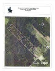 Page 3, St Magloire lot 42
