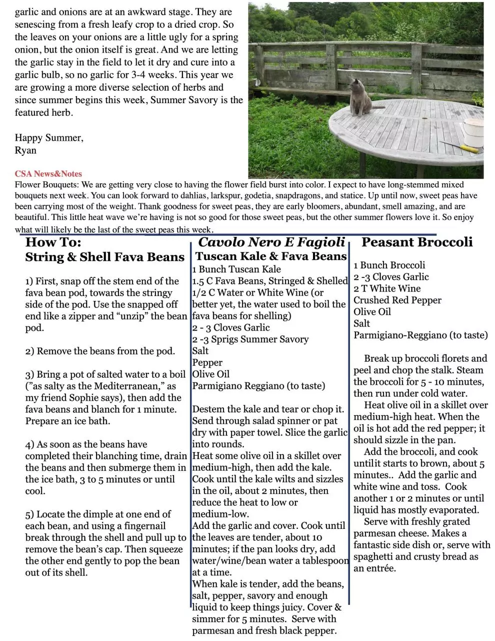 Page 2 of 2, 06.24 Newsletter