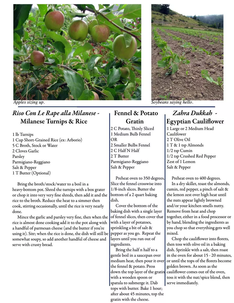 Page 2 of 2, 07.28 Newsletter