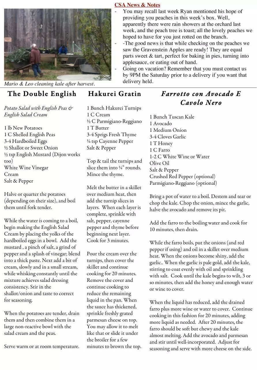 Page 2 of 2, 08.18 Newsletter