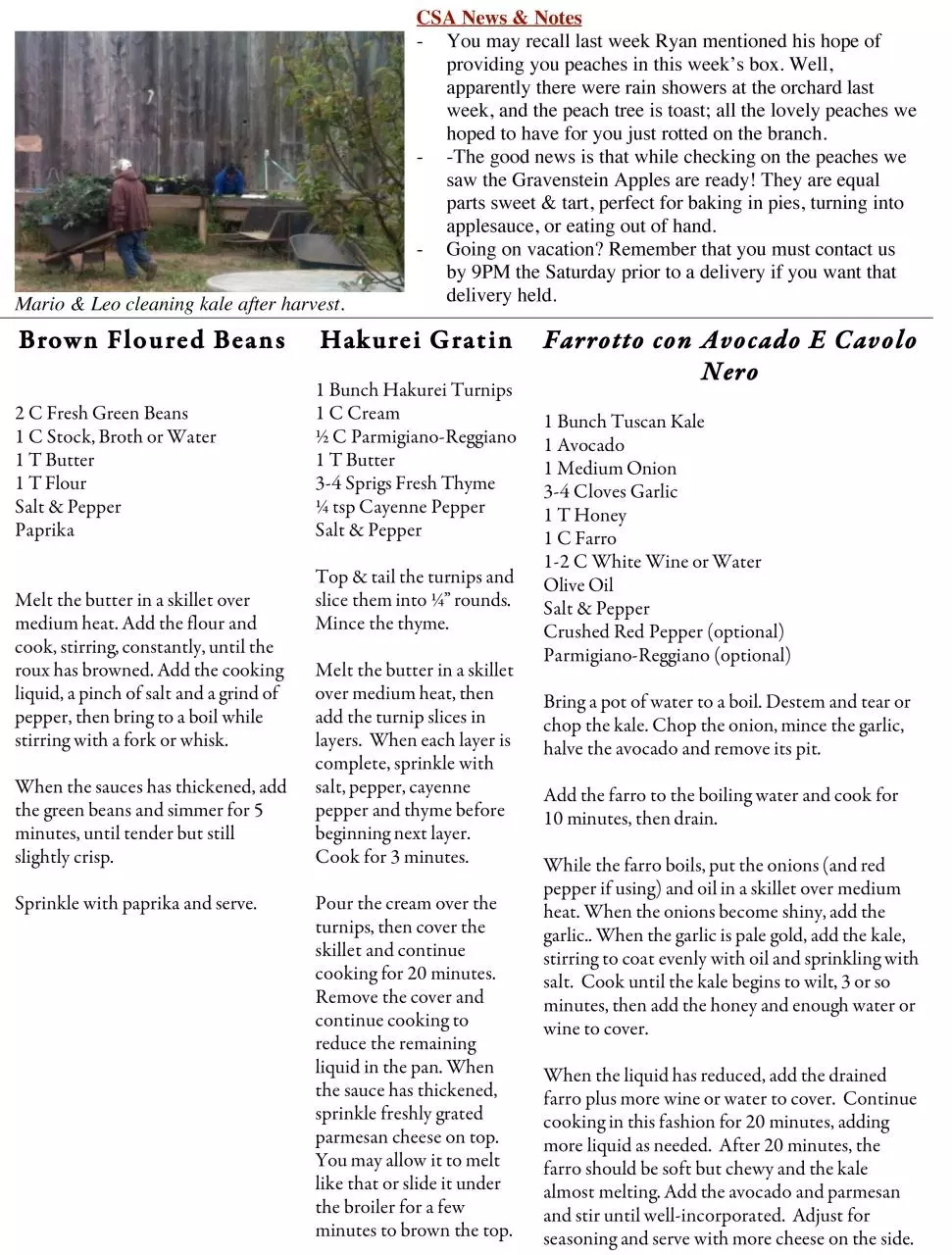 Page 2 of 2, 08.19 Newsletter