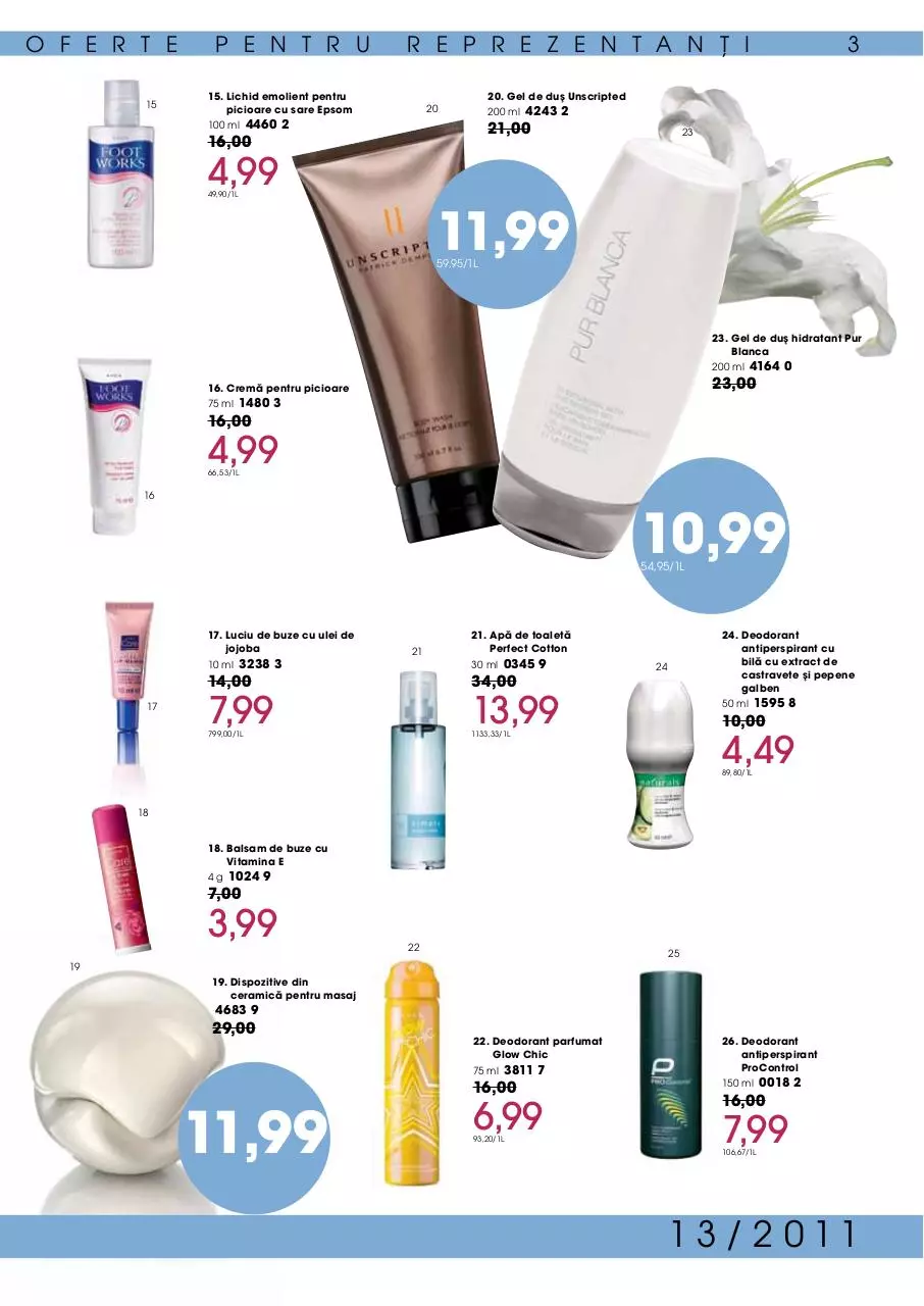 Page 3 of 8, Oferte pentru reprezentanti C13 2011