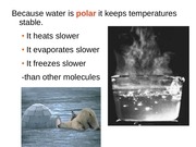 Page 4, 4 chemistry part I