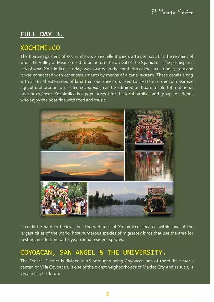 Page 5 of 9, MEXICO CITY TOUR OPTIONS