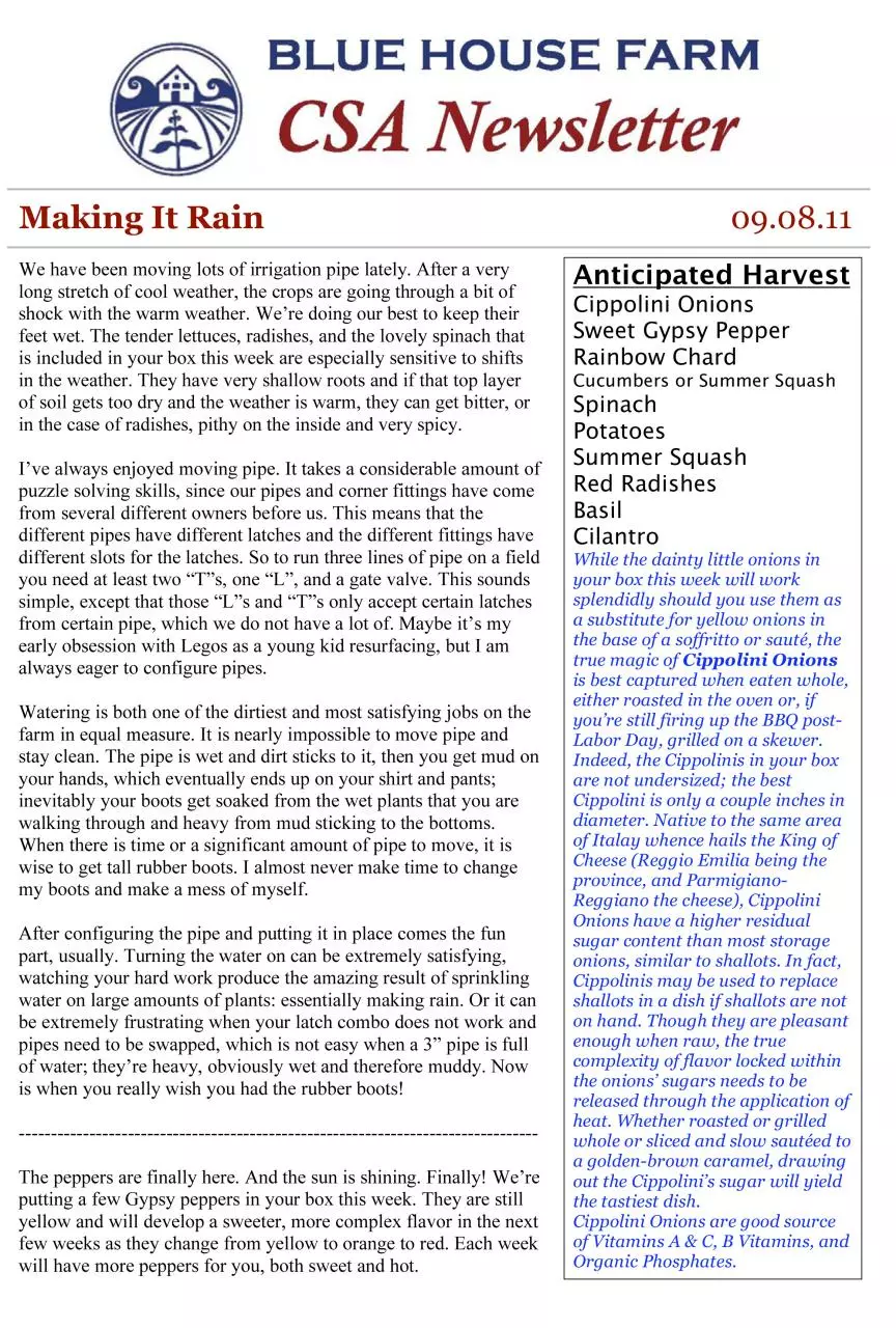 Page 1 of 2, Newsletter 09.08