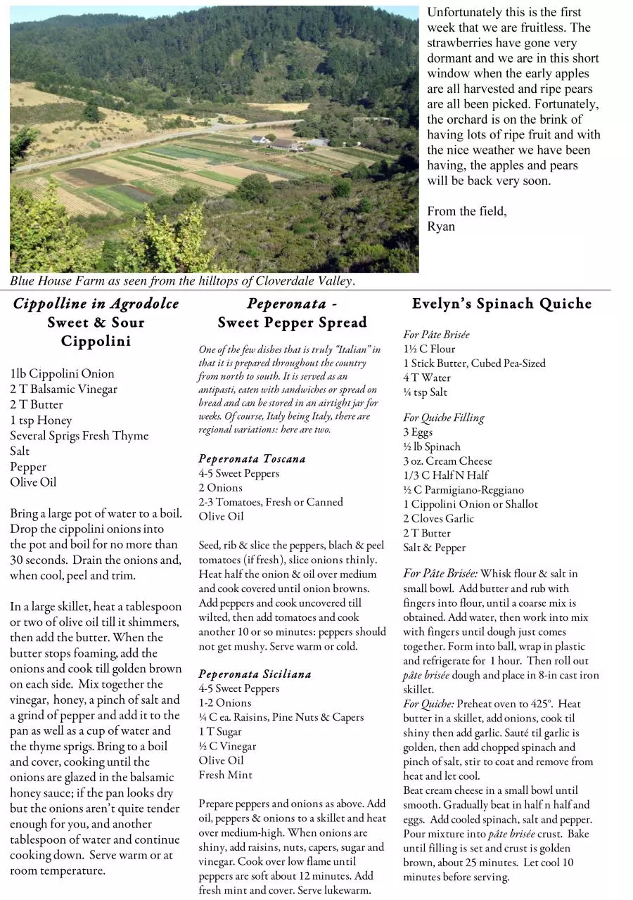 Page 2 of 2, Newsletter 09.08