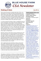 Page 1, Newsletter 09.08