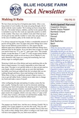 Blue House Farm CSA Newsletter 09.09