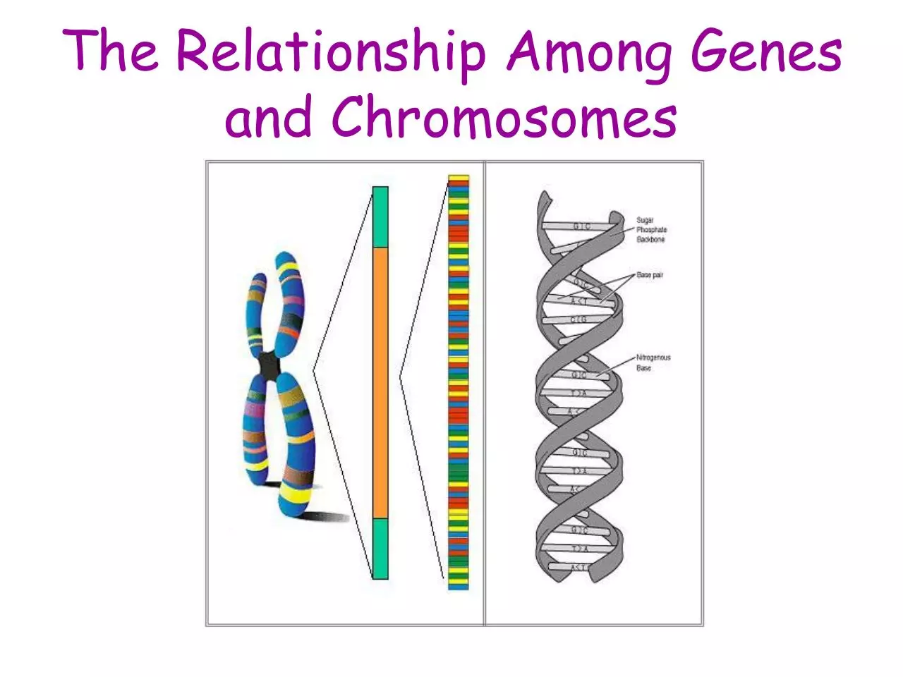 Page 2 of 22, 16 Introduction to Genetics