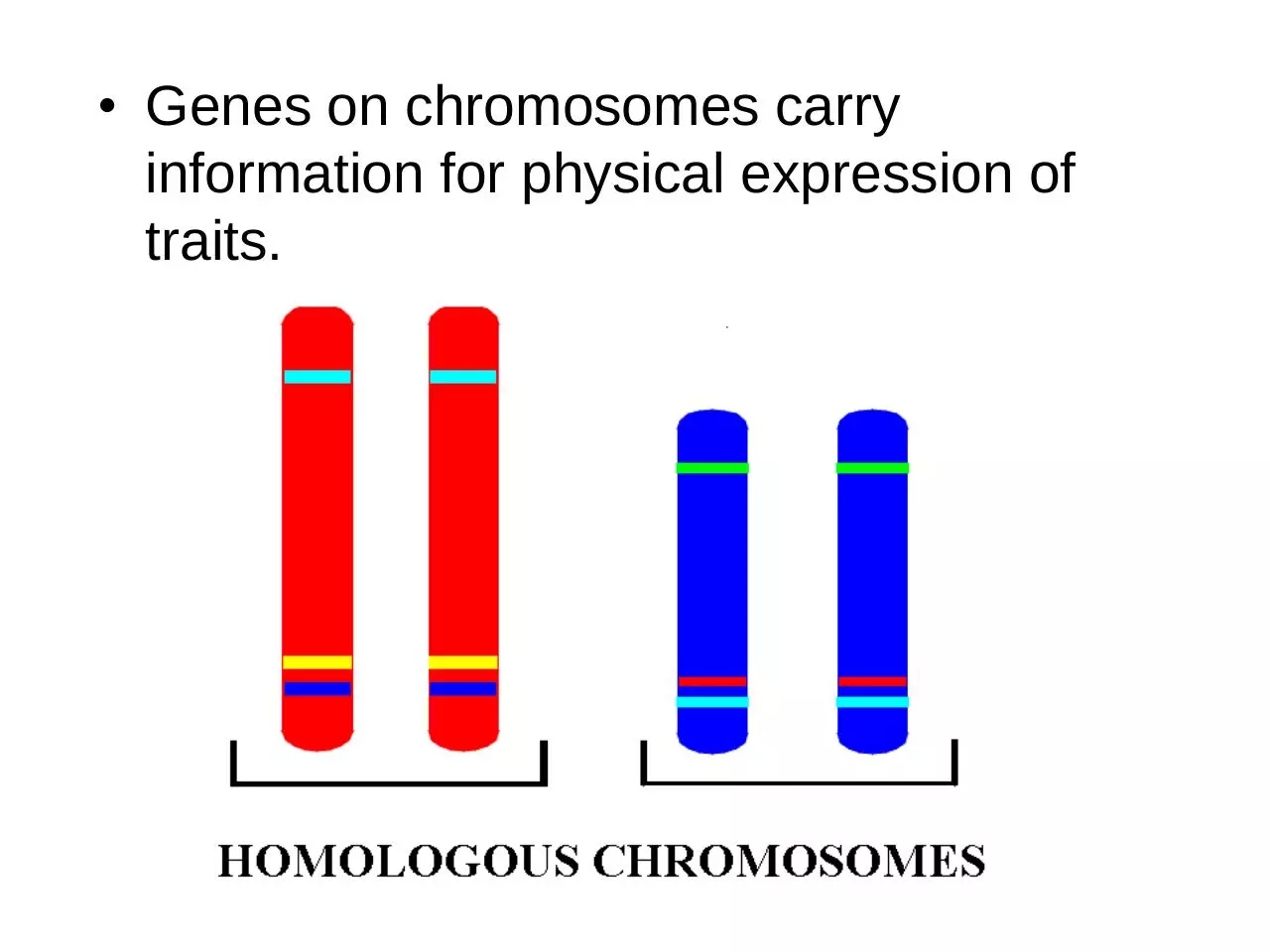 Page 3 of 22, 16 Introduction to Genetics