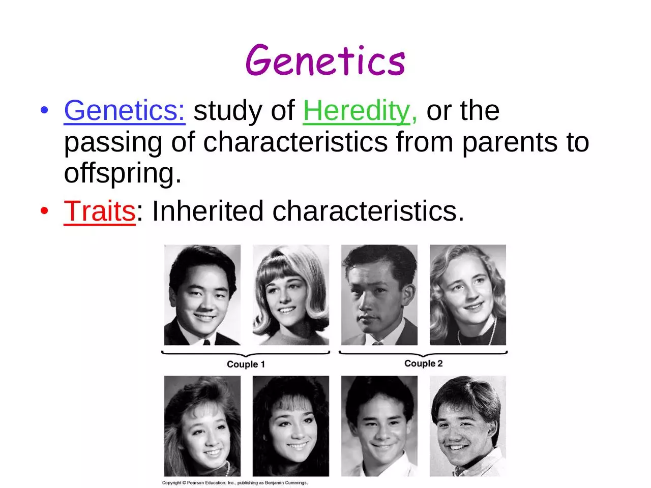 Page 4 of 22, 16 Introduction to Genetics