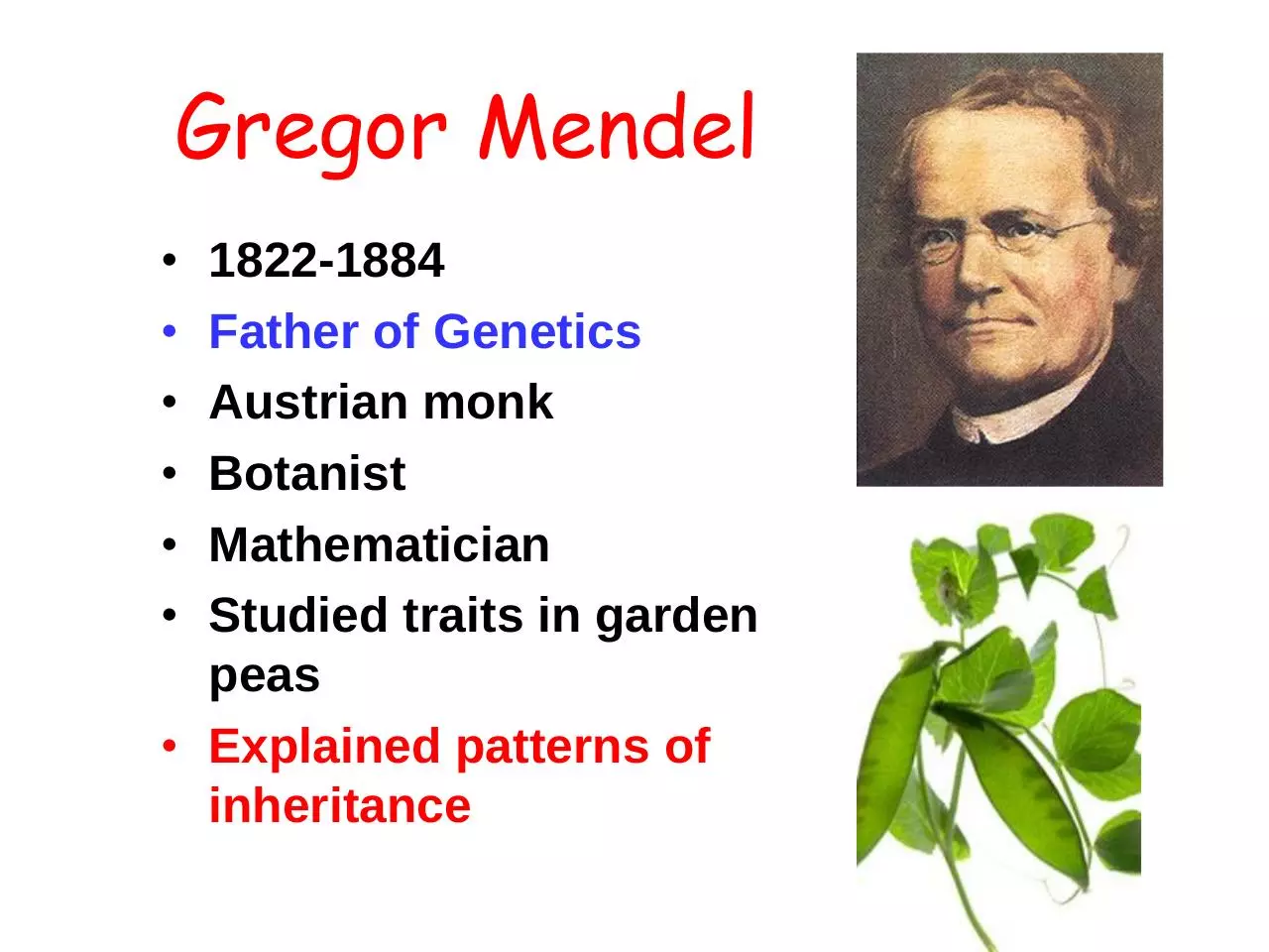 Page 5 of 22, 16 Introduction to Genetics