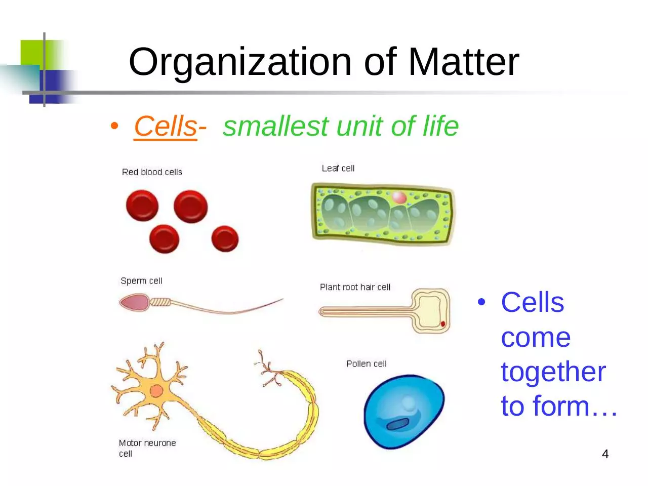 Page 4 of 23, 6 cell theory
