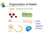 Page 4, 6 cell theory