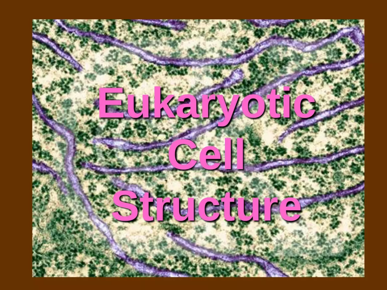 Page 1 of 39, 7 cell structures