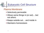 Page 4, 7 cell structures