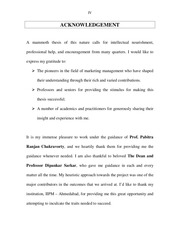 Page 5, Telecom Sector thesis