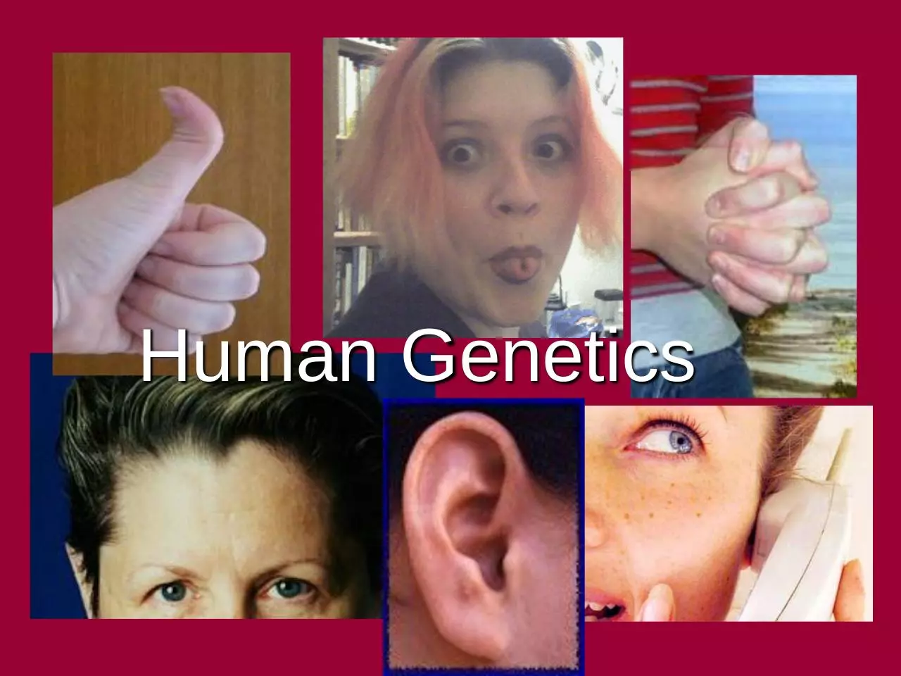 Page 1 of 23, 18 Human Genetics