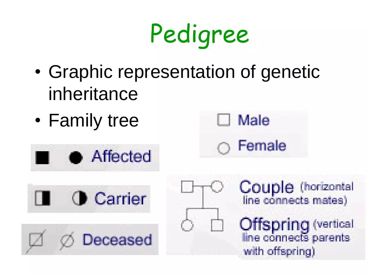 Page 2 of 23, 18 Human Genetics