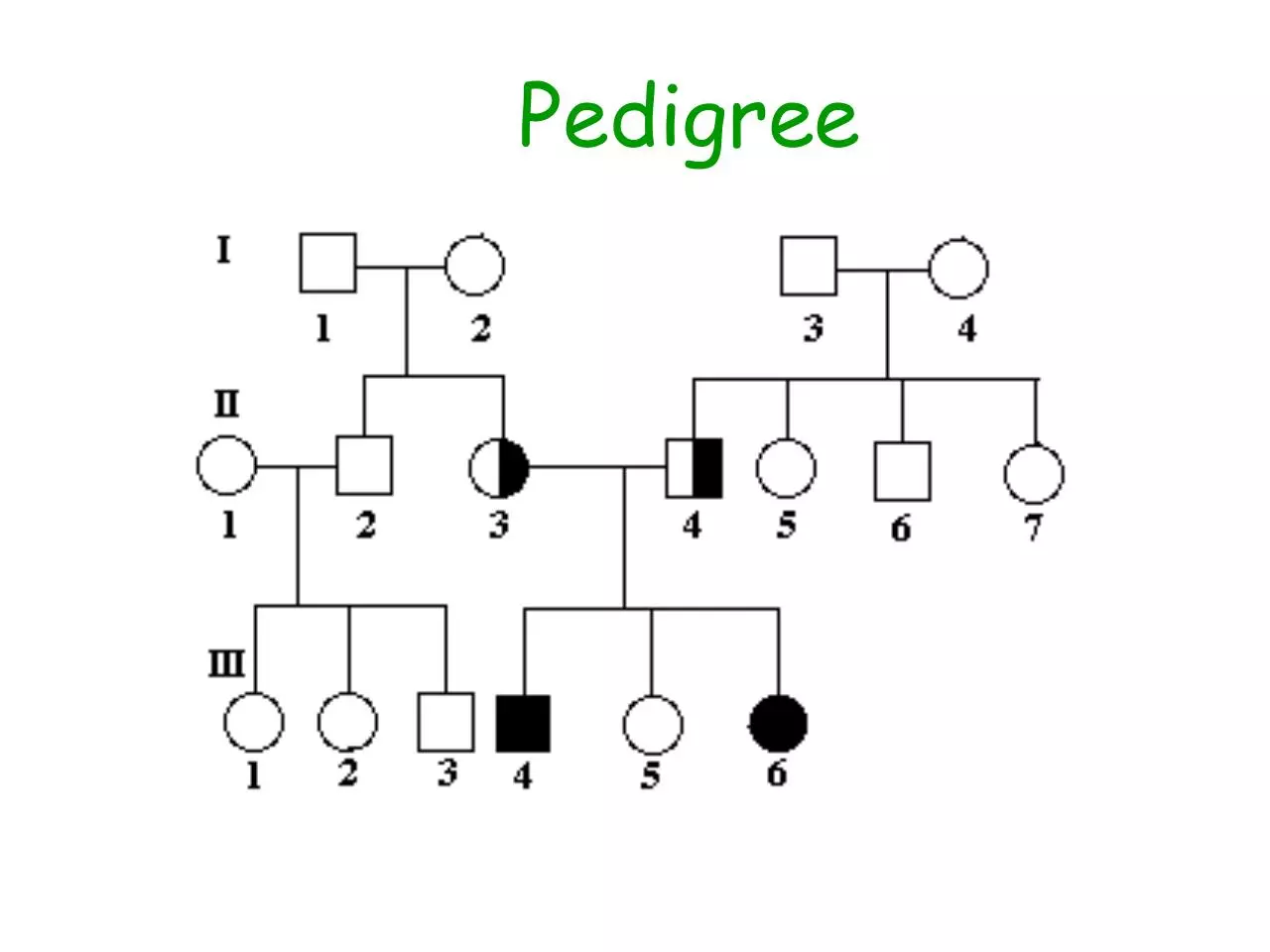 Page 3 of 23, 18 Human Genetics