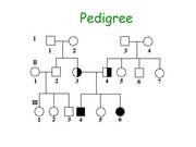 Page 3, 18 Human Genetics