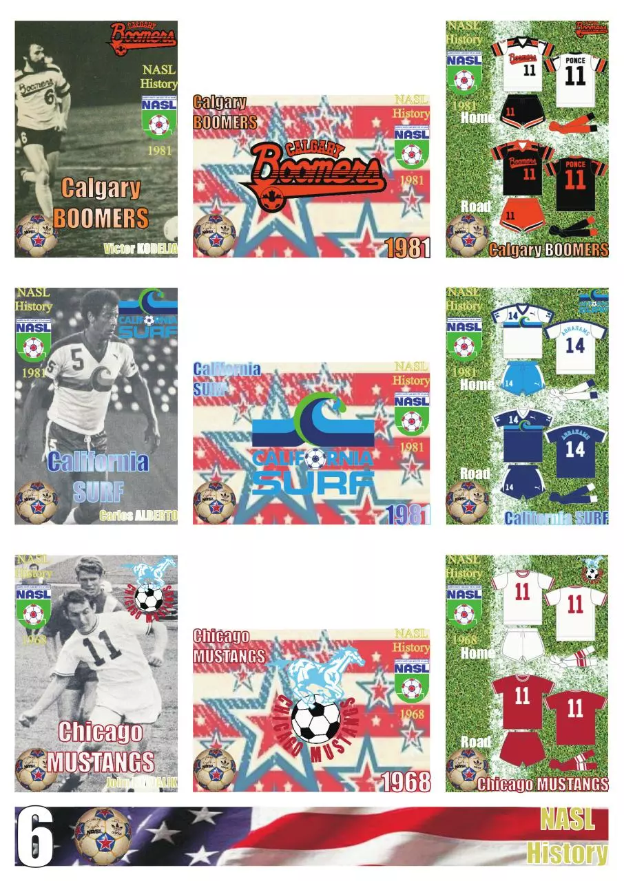 Page 1 of 1, NASL 6