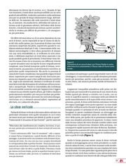 Page 2, AS70 WindShear