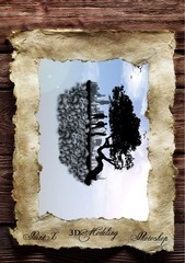 Page 3, Portfolio