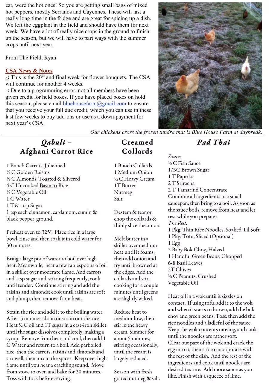 Page 2 of 2, 10.26 Newsletter