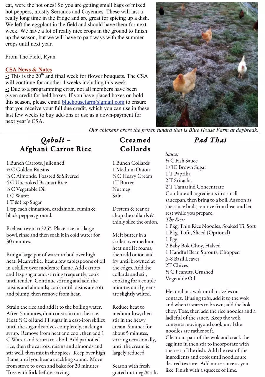 Page 2 of 2, 10.28 Newsletter
