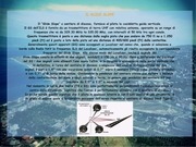 Page 5, presentazione