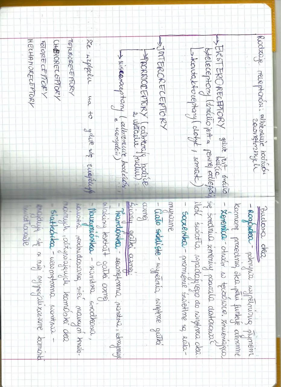 Page 1 of 1, skanowanie0007