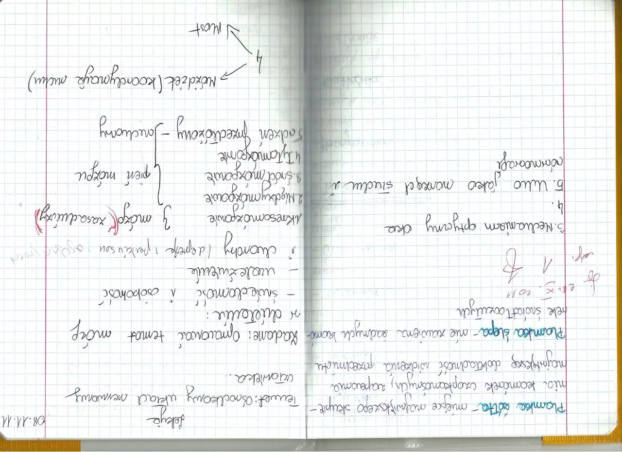 Page 1 of 1, skanowanie0008