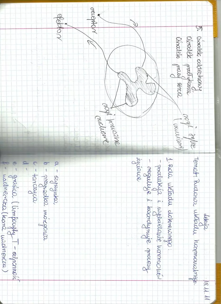 Page 1 of 1, skanowanie0009