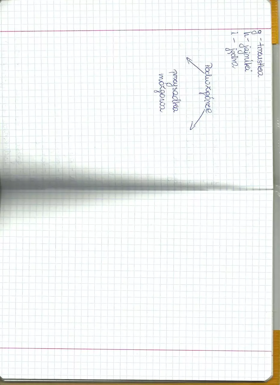 Page 1 of 1, skanowanie0010