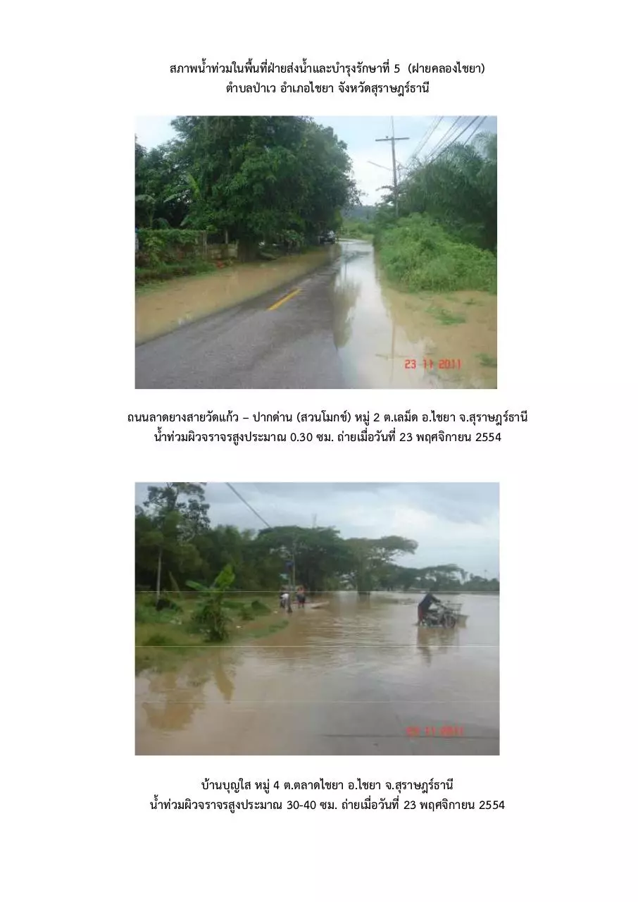 Page 1 of 11, สภาพน้ำท่วม อ.ไชยา วันที่ 23 พ.ย.54