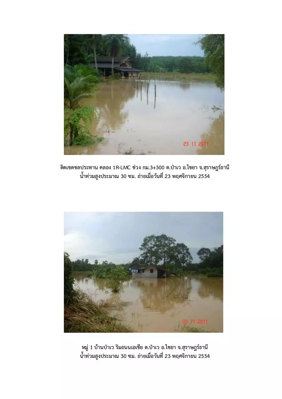 Page 5 of 11, สภาพน้ำท่วม อ.ไชยา วันที่ 23 พ.ย.54