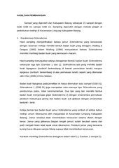 Page 3, 12 Nur Hayati, Rina Sri Kasiamdari