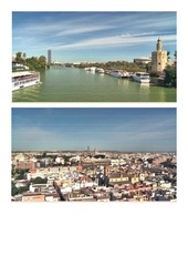 Page 5, TORRE PUERTO TRIANA (TORRE PELLI)