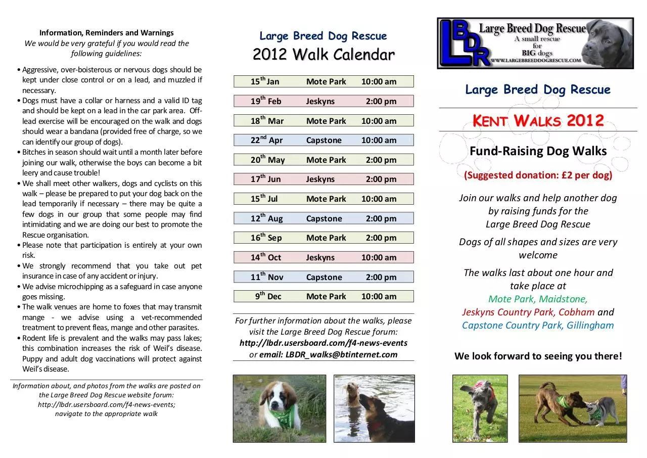 Page 1 of 2, Large Breed Dog Rescue Walks 2012 Flyer
