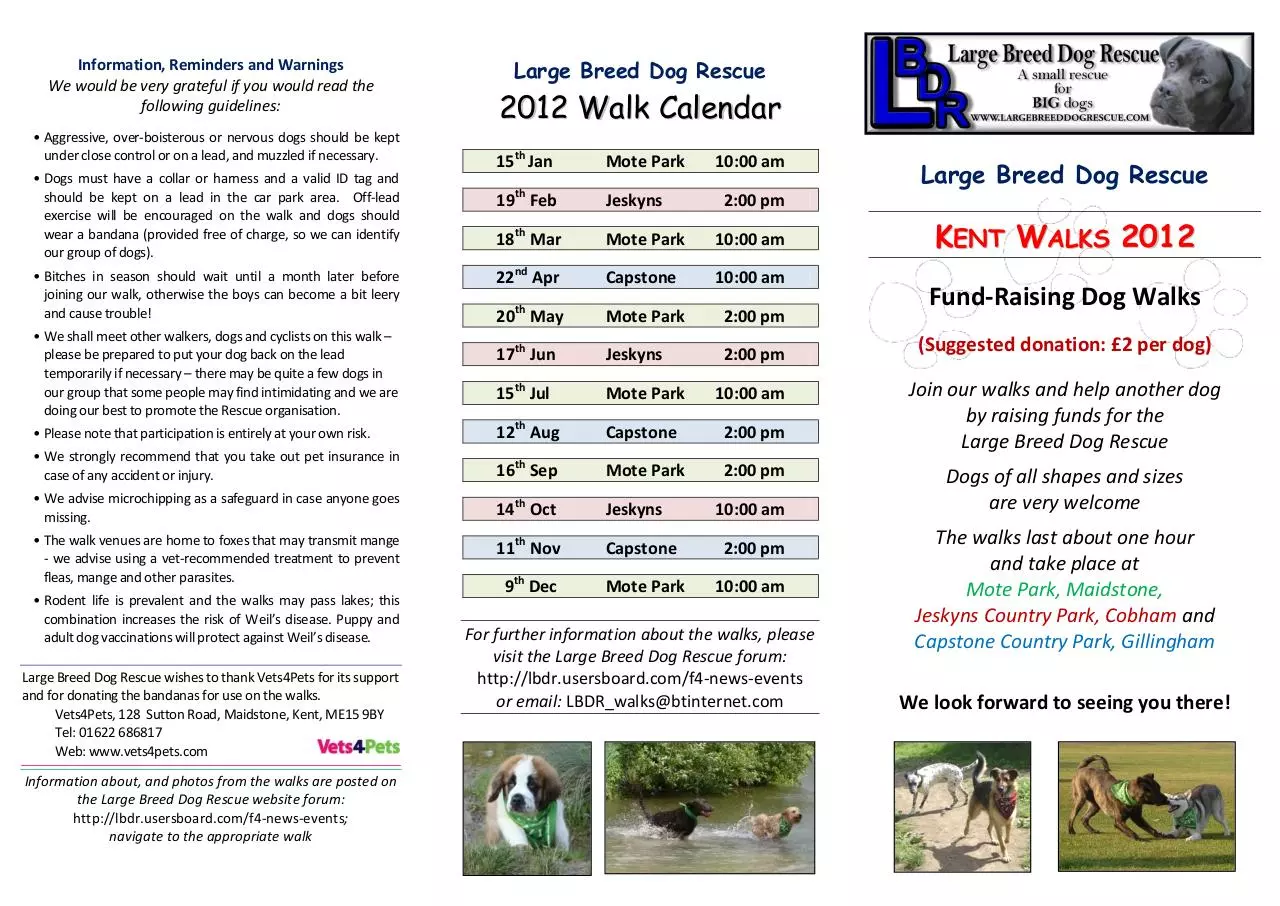 Page 1 of 2, Large Breed Dog Rescue Walks 2012 Flyer