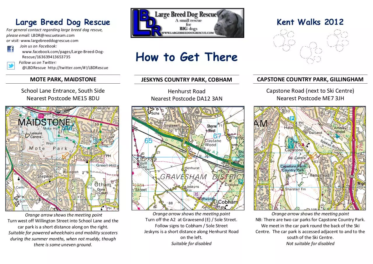 Page 2 of 2, Large Breed Dog Rescue Walks 2012 Flyer
