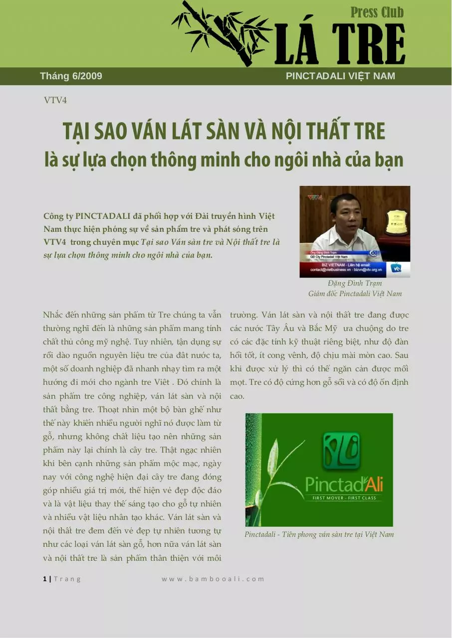 Page 1 of 3, 200906. VTV4 Tai sao van san tre la su lua chon thong minh