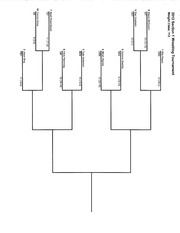 Page 2, 2012 Section1 Brackets