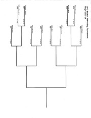 Page 4, 2012 Section1 Brackets