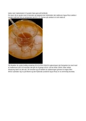Page 5, The Peruvian way