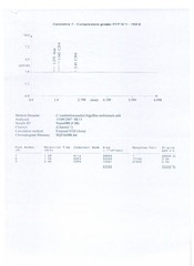 Page 3, analisi monomeri 2007