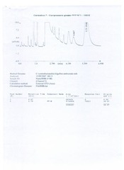Page 4, analisi monomeri 2007