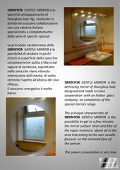 Page 2, SBRINYOR GENTLE MIRROR