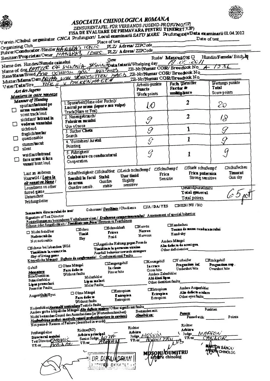 Page 1 of 2, EXPO CAC SATU MARE 1